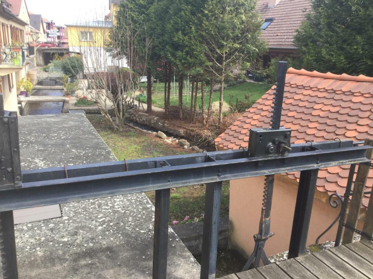 Gite Cote Jardin Ingersheim Eksteriør bilde